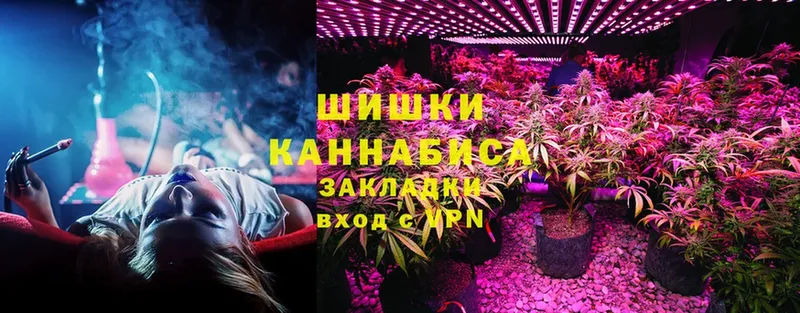 Конопля Amnesia  как найти наркотики  Заволжск 